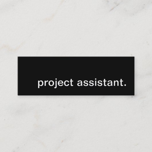 Carte De Visite Mini assistant de projet. (Devant)