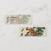 Carte De Visite Mini Audubon Throsé de colibri (Devant / Derrière)