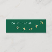Carte De Visite Mini Avions volant sur vert. Agent de voyage (Devant)