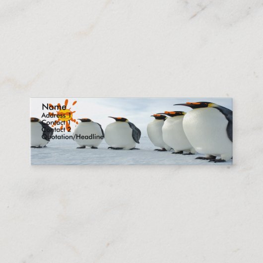 Carte De Visite Mini Blues Brothers (Devant)