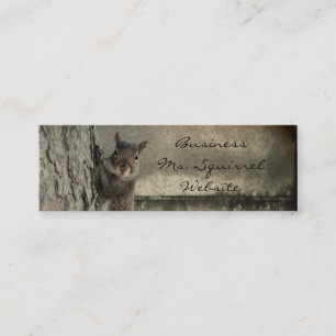 Carte De Visite Mini Bonjour Squirrel
