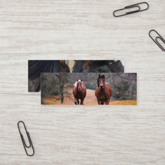 Carte De Visite Mini Business Cards