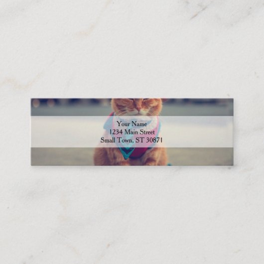 Carte De Visite Mini Business Cat avec cravate (Devant)