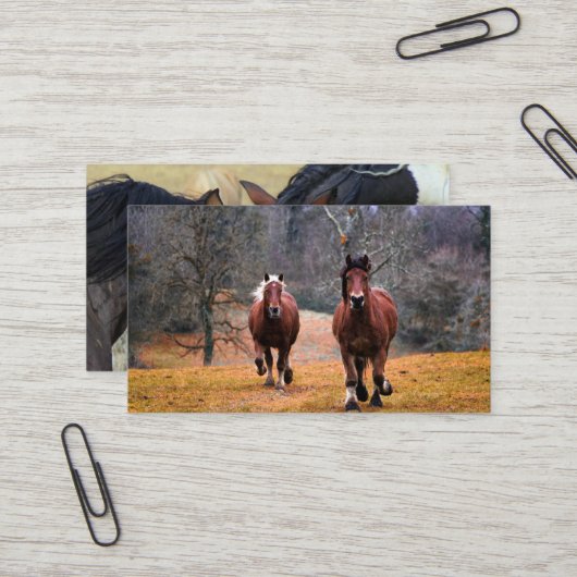Carte De Visite Mini Cartes de visite (Devant/Arrière en situation)