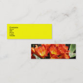 Carte De Visite Mini Célébrez (Devant / Derrière)