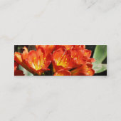 Carte De Visite Mini Célébrez (Dos)