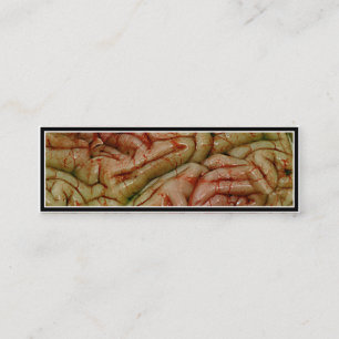 Carte De Visite Mini Cerveaux, BrainZZ BRAINZZ