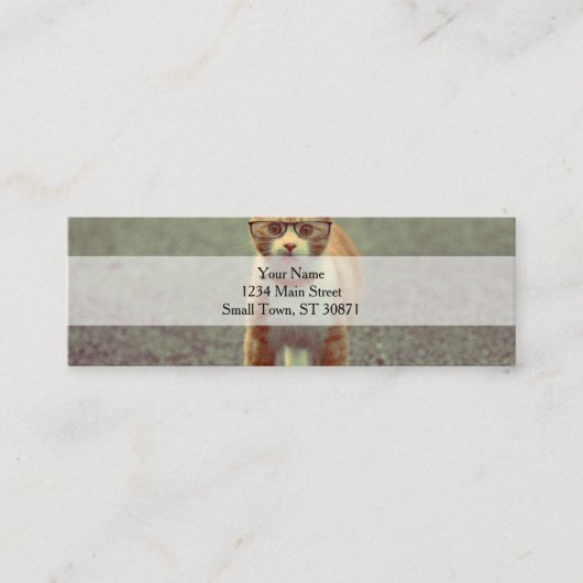 Carte De Visite Mini Chat drôle avec lunettes (Devant)