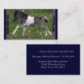 Carte De Visite Mini cheval (Devant / Derrière)