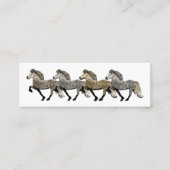 Carte De Visite Mini Chevaux islandais Astrid (Devant)
