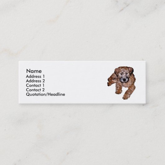 Carte De Visite Mini Chiot roux à revêtement souple (Devant)