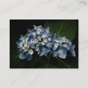 Carte De Visite Mini copie de l'hortensia 8514 bleus