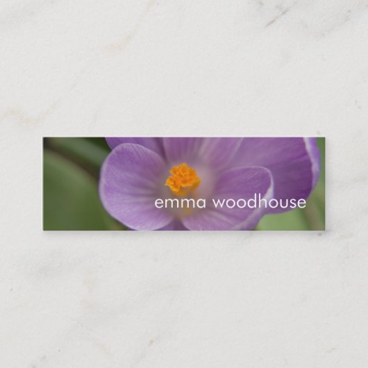 Carte De Visite Mini Crocus mauve PICT5930 (Devant)