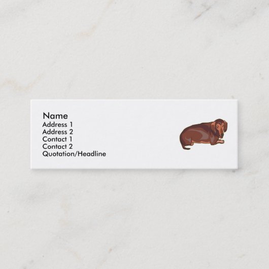 Carte De Visite Mini Dachshundnt (Devant)