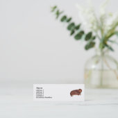 Carte De Visite Mini Dachshundnt (Debout devant)