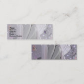 Carte De Visite Mini Dormir et araignée au clair de lune ! (Devant / Derrière)