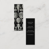 Carte De Visite Mini Ernst Haeckel Aspidonia (Devant / Derrière)