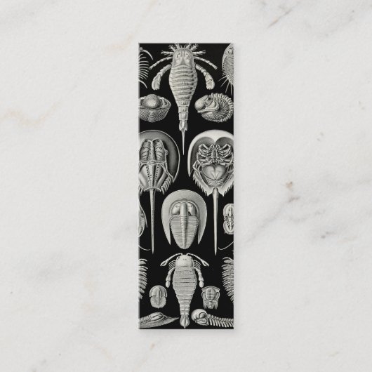 Carte De Visite Mini Ernst Haeckel Aspidonia (Devant)