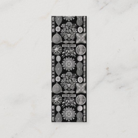 Carte De Visite Mini Ernst Haeckel Diatomea (Devant)