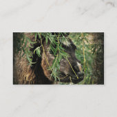 Carte De Visite Mini Être Onery (Dos)