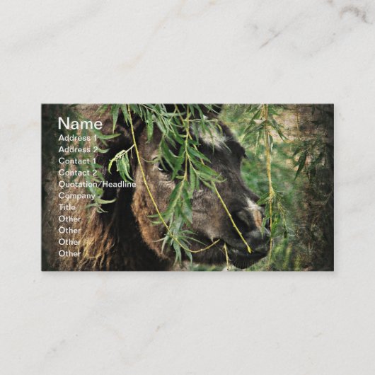 Carte De Visite Mini Être Onery (Devant)