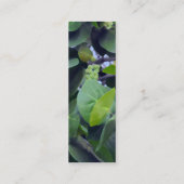 Carte De Visite Mini Feuilles sculpturaux (Dos)