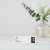 Carte De Visite Mini Feuilles sculpturaux (Debout devant)