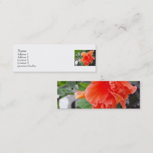 Carte De Visite Mini Fleur orange (Devant / Derrière)