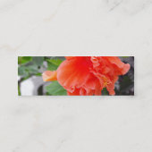 Carte De Visite Mini Fleur orange (Dos)
