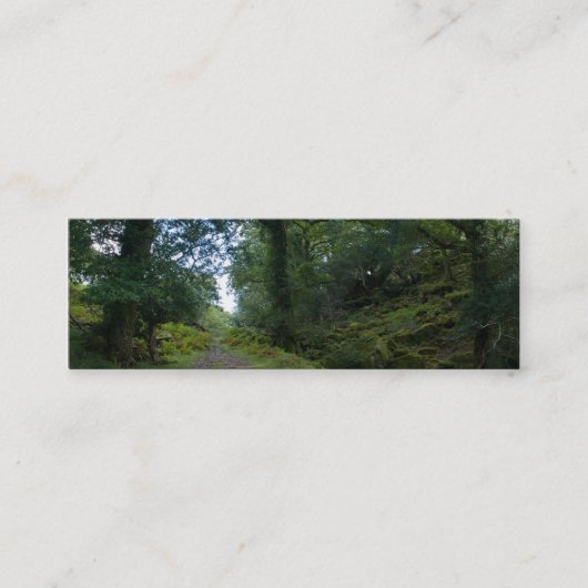 Carte De Visite Mini Forêt enchantée (Devant)