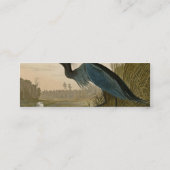 Carte De Visite Mini Grue bleue Héron Impression Audubon Art côtier (Dos)