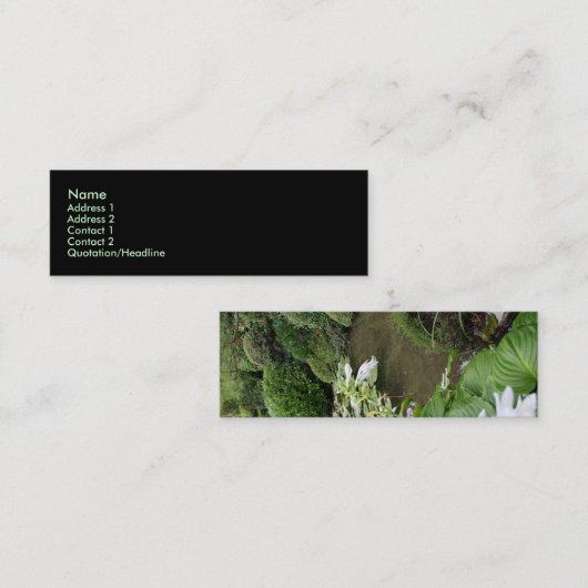 Carte De Visite Mini Hosta dans un jardin de zen (Devant / Derrière)