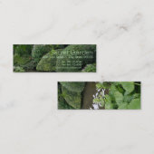 Carte De Visite Mini Hosta dans un jardin zen 1 (Devant / Derrière)