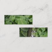 Carte De Visite Mini Hosta dans un jardin zen 2 (Devant / Derrière)