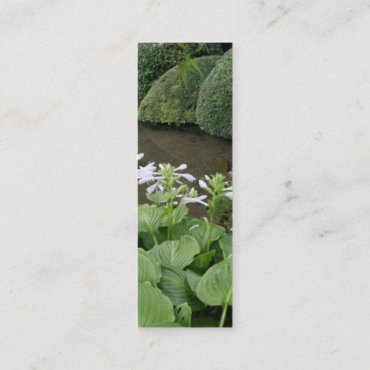 Carte De Visite Mini Hosta dans un jardin zen 2 (Dos)