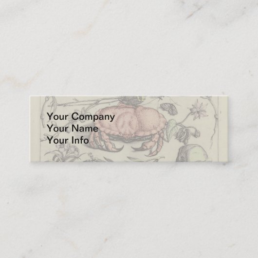 Carte De Visite Mini Illustration de la fleur d'insectes botaniques du (Devant)