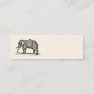 Carte De Visite Mini Illustration vintage d'éléphant de 1800s -