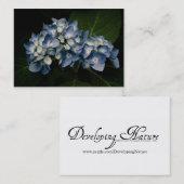 Carte De Visite Mini impression Blue Hydrangea 8514 (Devant / Derrière)