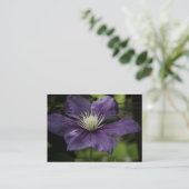 Carte De Visite Mini impression Clematis 8510 (Debout devant)