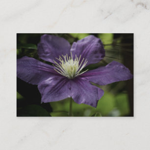 Carte De Visite Mini impression Clematis 8510