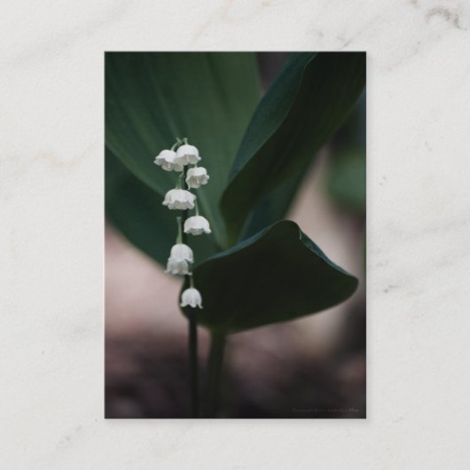 Carte De Visite Mini impression de cloches douces (Devant)