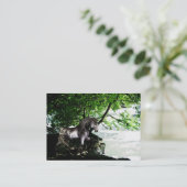 Carte De Visite Mini impression de la rivière Great Divide (Debout devant)