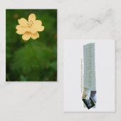 Carte De Visite Mini impression Harmonie pacifique (Devant / Derrière)