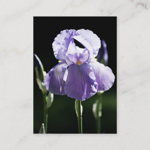Carte De Visite Mini impression Iris 8393 Violet