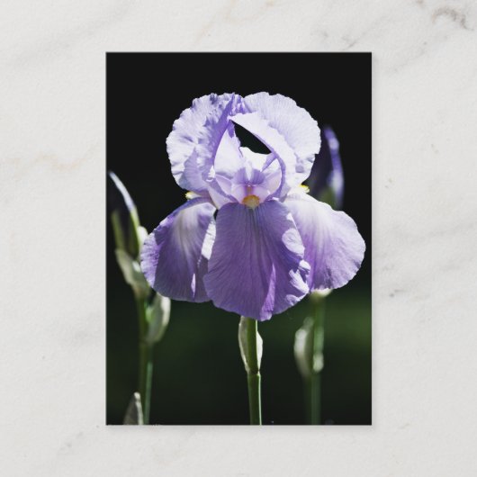 Carte De Visite Mini impression Iris 8393 Violet (Devant)