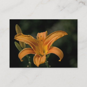 Carte De Visite Mini impression Jardin