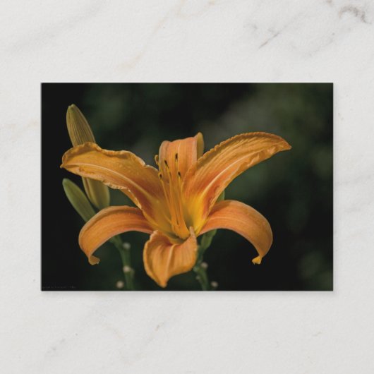 Carte De Visite Mini impression Jardin (Devant)