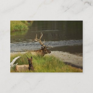 Carte De Visite Mini impression Mates de Yellowstone