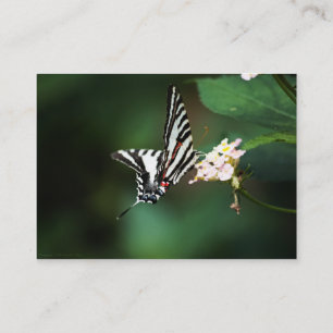 Carte De Visite Mini impression minuscule Zebra