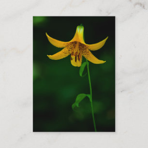 Carte De Visite Mini-impression Star Pose